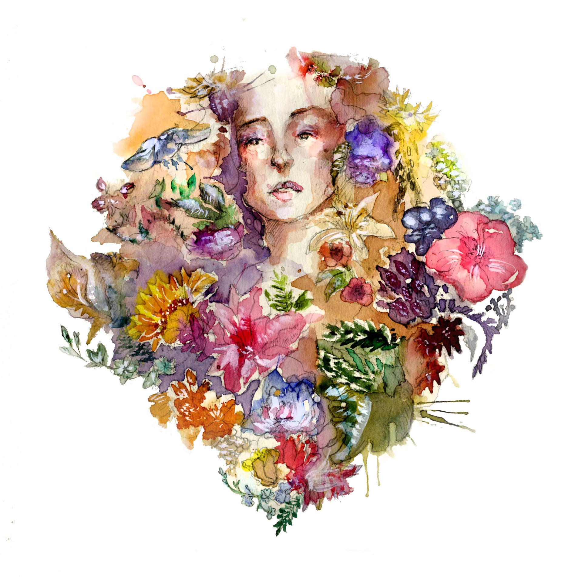 Akvarelová malba na papíře, ilustrace