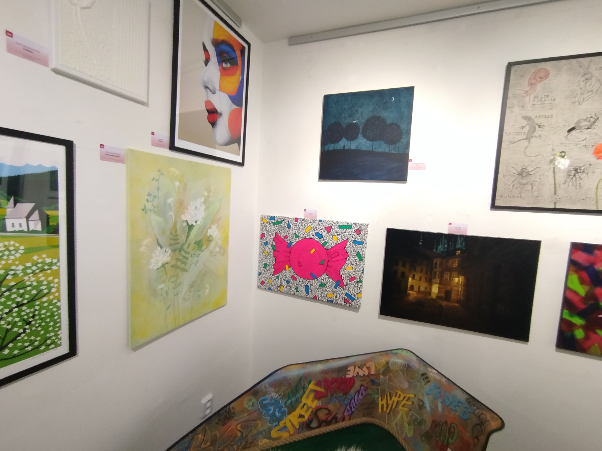 Z vernisáže předaukční výstavy - Galerie Panská 1.